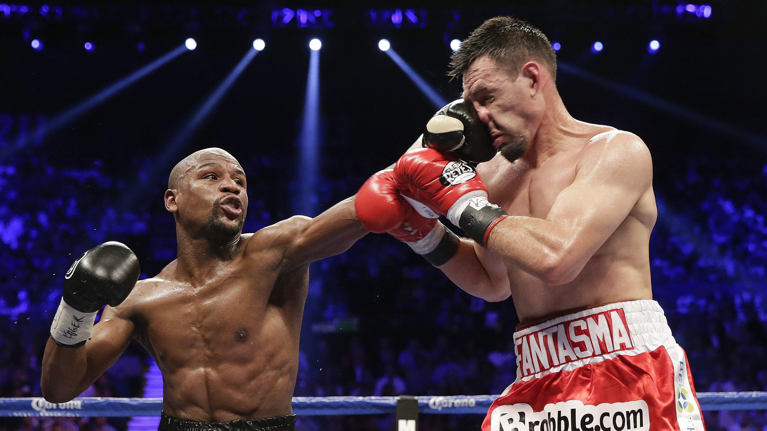 库里欧冠接管，深圳节奏驯熊，当东方智慧遇见西方神迹